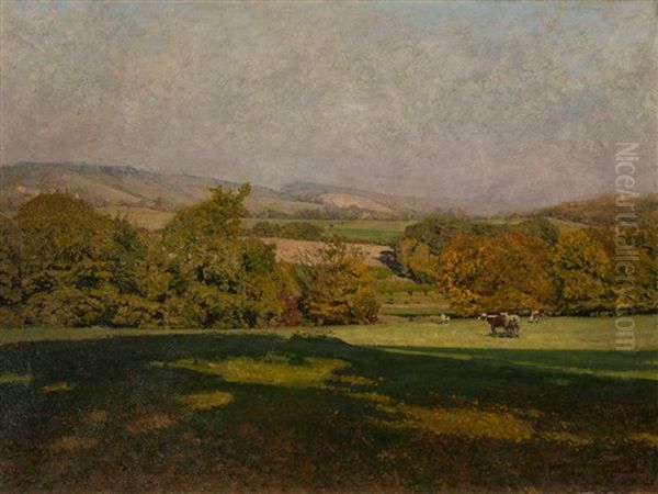 Large Format Landscape - view 1