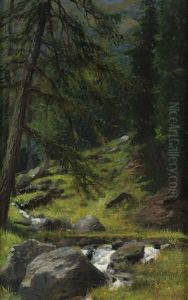 Nel Bosco Nel Bosco