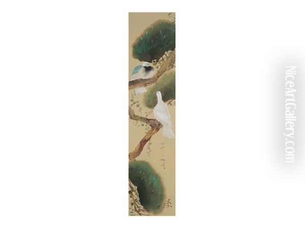Pigeons On A Pine Tree - view 1