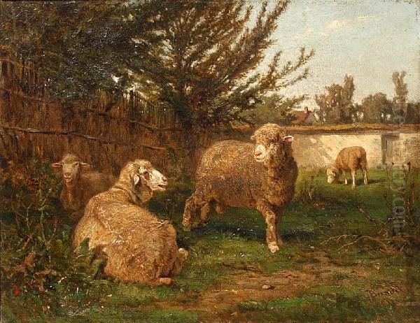 Sheep In A Shady Field Corner - view 1