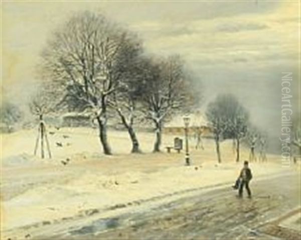 Winter Scenery From Copenhagen - view 1