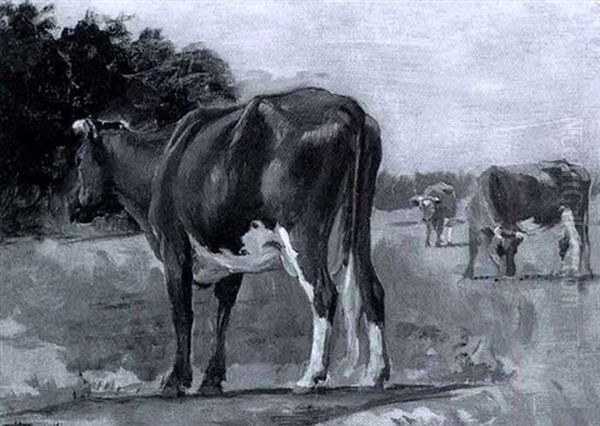 Cattle Grazing - view 1