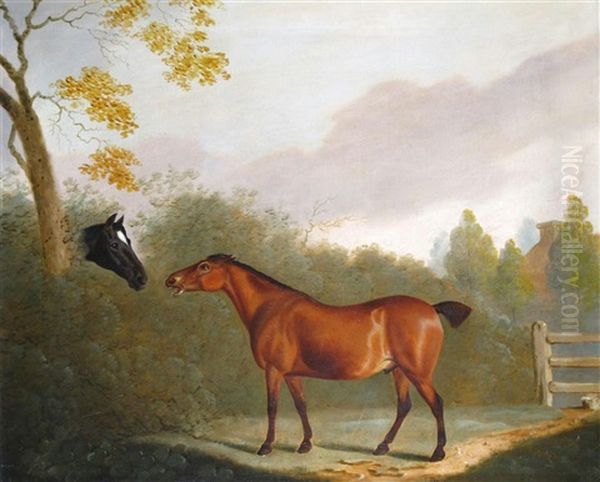 Bay Hunter And Neighbour - view 1