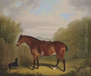 A Favourite Chestnut Hunter A Favourite Chestnut Hunter