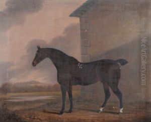 A Dark Bay Hunter Outside A Stable Block A Dark Bay Hunter Outside A Stable Block