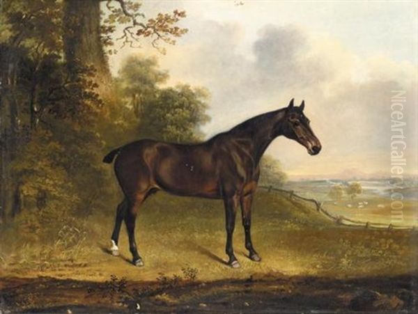 Portrait Of "quibbler", A Bay Hunter In A Landscape - view 1