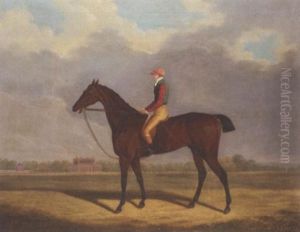 "fulford" With Jockey Up by Clifton Tomson