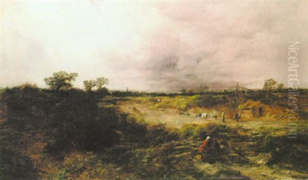 Sefton Meadows - view 1