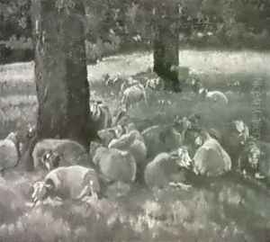 Schafe Im Schatten Der Baume by Charles Richard Tooby