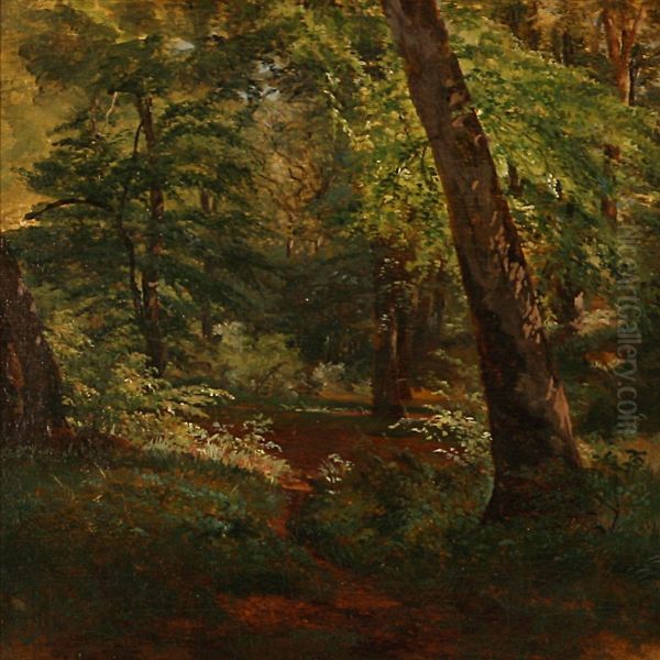 Summer Day In A Forest - view 1