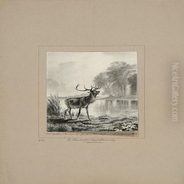 A Stag And Hilly Landscape - view 1