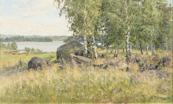 Birches - view 1