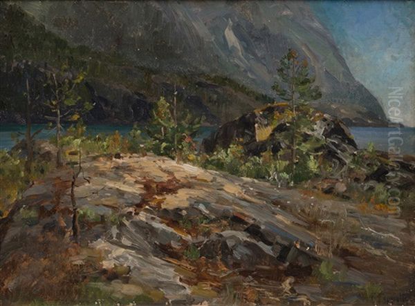 Norwegian Fjord - view 1