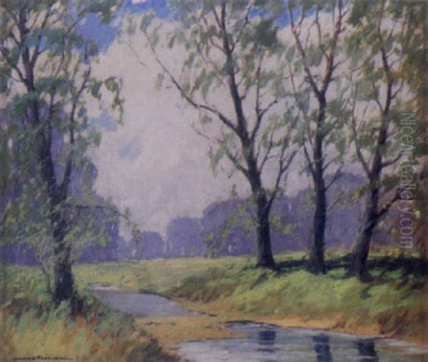 Old Willows - view 1