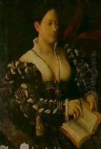 Ritratto Di Dama Con Libro by Francesco di Marco India Torbido