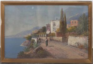 Mediterranean Landscape Mediterranean Landscape