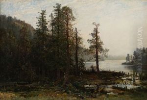 Morning Mist by Oscar Toerna