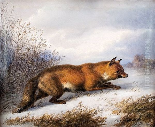 Schnurender Fuchs - view 1