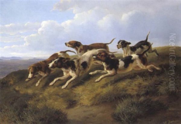 Jagende Hunde In Einer Gebirgslandschaft - view 1