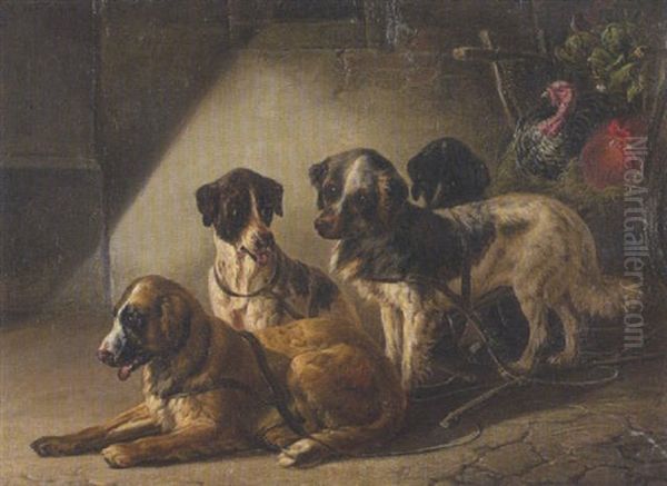 Vier Hunde, Truthahn Und Hahn - view 1