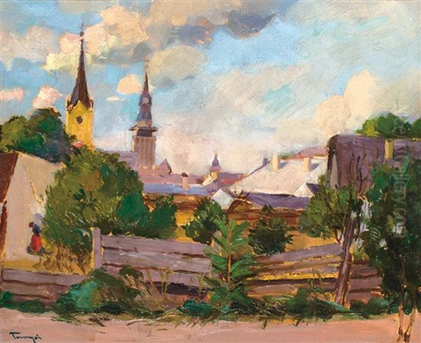 Subotica - view 1
