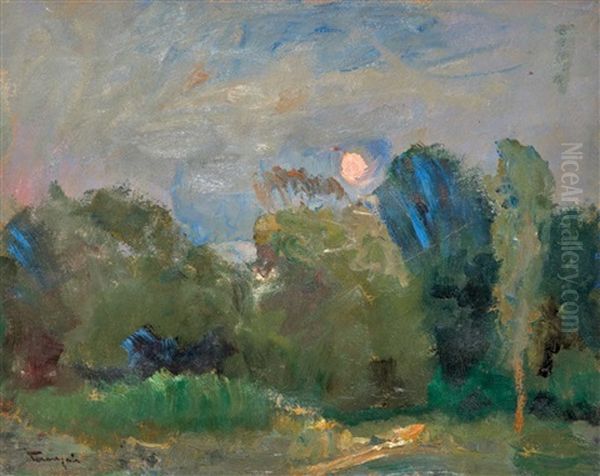 Moonlit Night - view 1