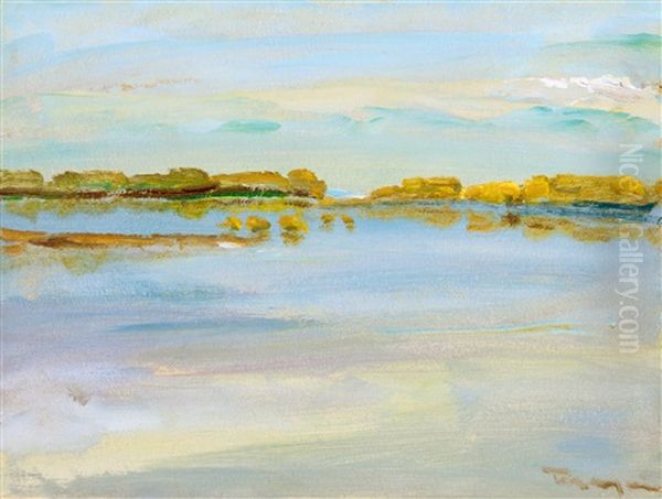By The River (tisza) - view 1