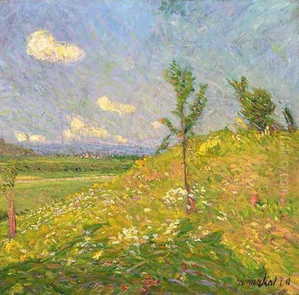 Summer - view 1