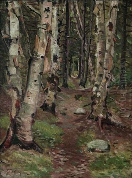 Wooded Pathway - view 1