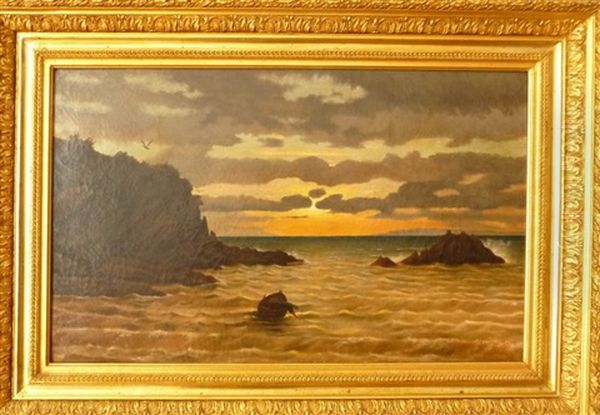 Soleil Couchant Sur Les Sanguinaires - view 1