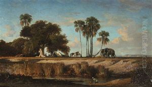 Le Repos Des Elephants En Inde