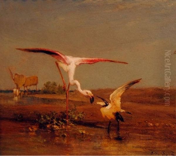 Flamant Et Ibis - view 1