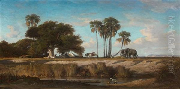 Chevaux Et Elephants En Bord De Riviere - view 1
