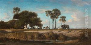 Chevaux Et Elephants En Bord De Riviere