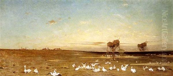 Les Pelicans - view 1