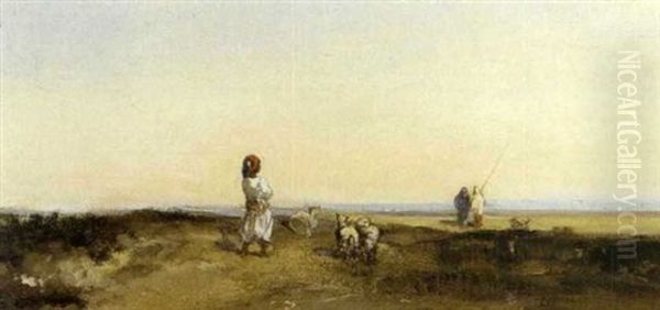 Watching The Flock - view 1