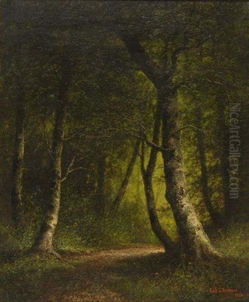 Spring Path - view 1