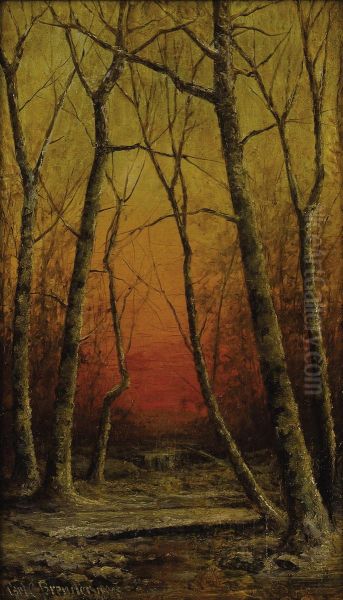 A Wintry Sunglow - view 1