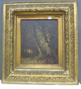 Beeches by Carl Christian Brenner
