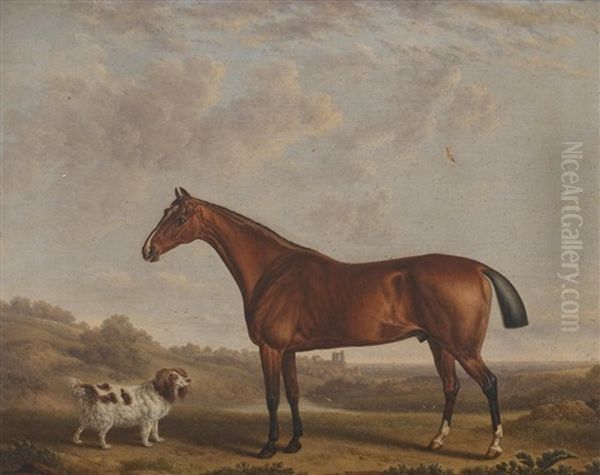 Bay Horse And Spaniel - view 1