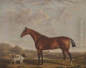 Bay Horse And Spaniel