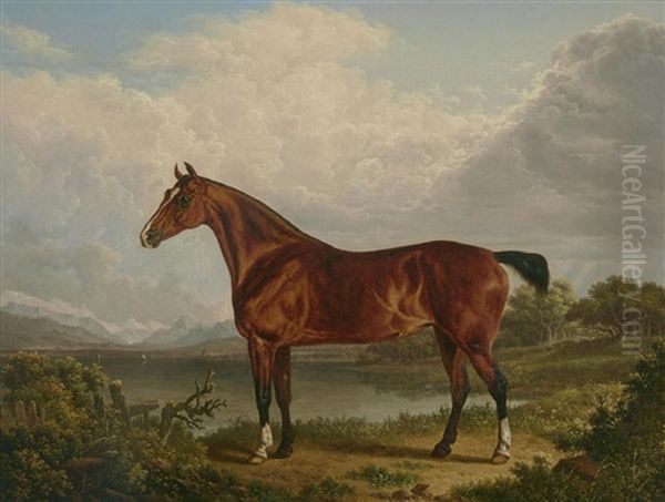 A Chestnut Hunter Belonging To Richard Tiltey - view 1