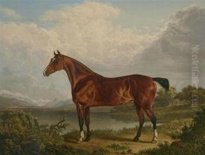 A Chestnut Hunter Belonging To Richard Tiltey