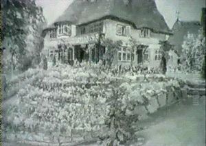 The Cottage Garden