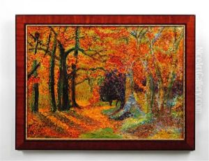 Forest Landscape Forest Landscape