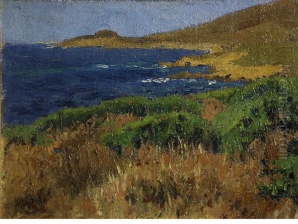 The Blue Pacific - view 1