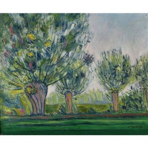Landschaft Mit Weidenbaumen