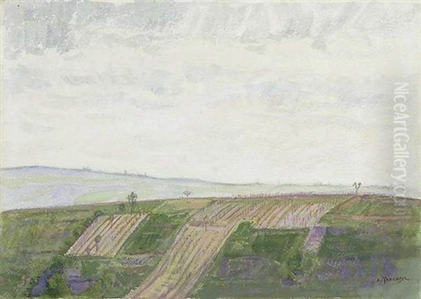 Landscape - view 1