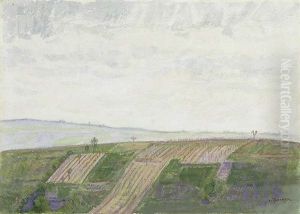 Landscape Landscape