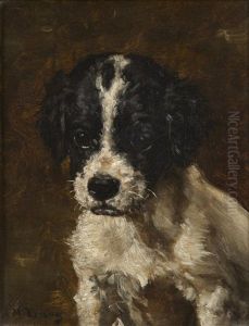 A Spaniel Puppy